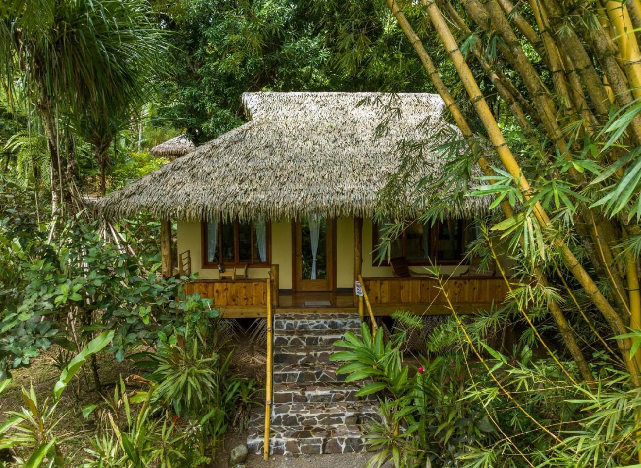 Copa De Arbol Beach & Rainforest Resort Drakes Bay 외부 사진