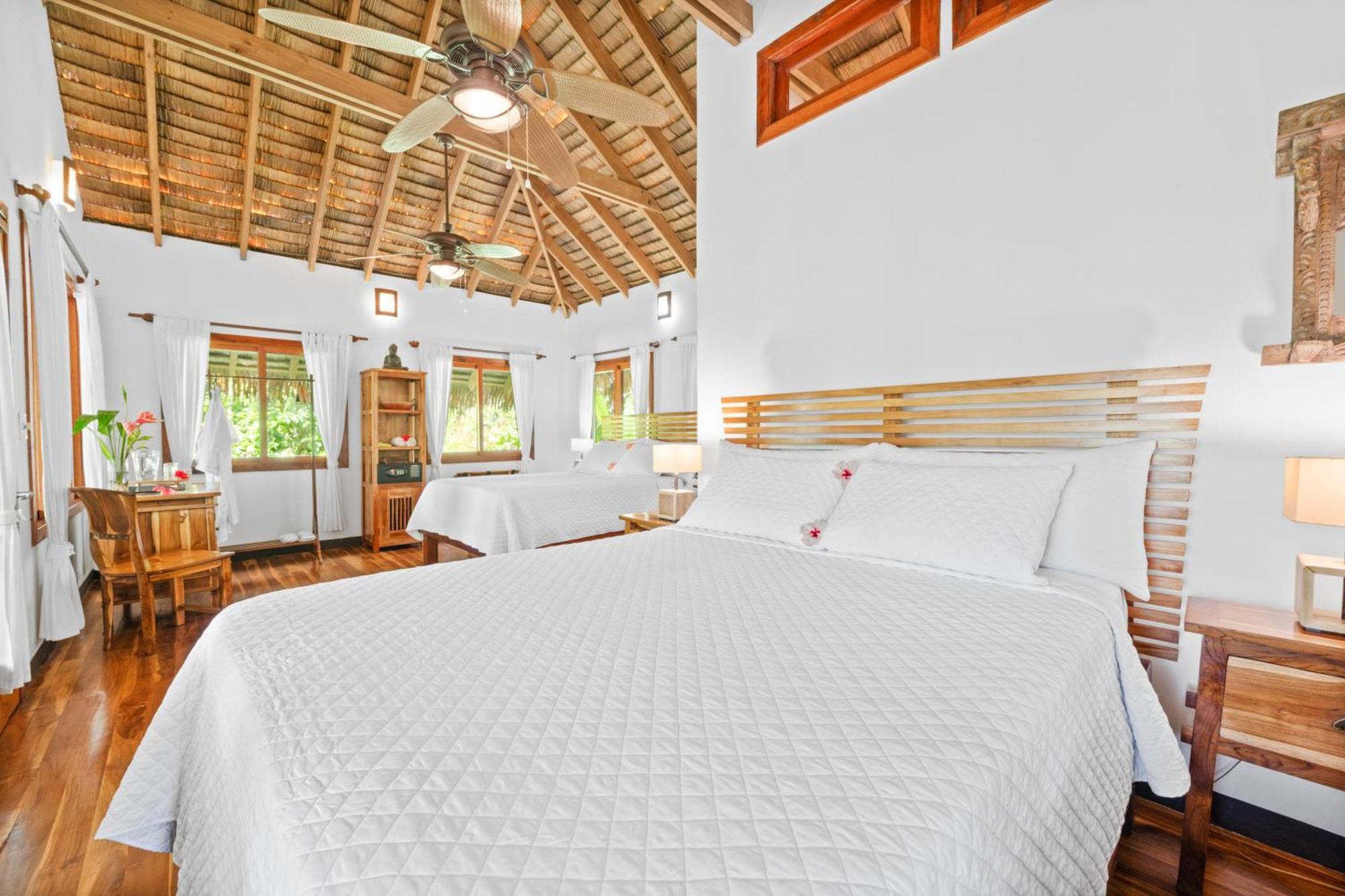 Copa De Arbol Beach & Rainforest Resort Drakes Bay 객실 사진