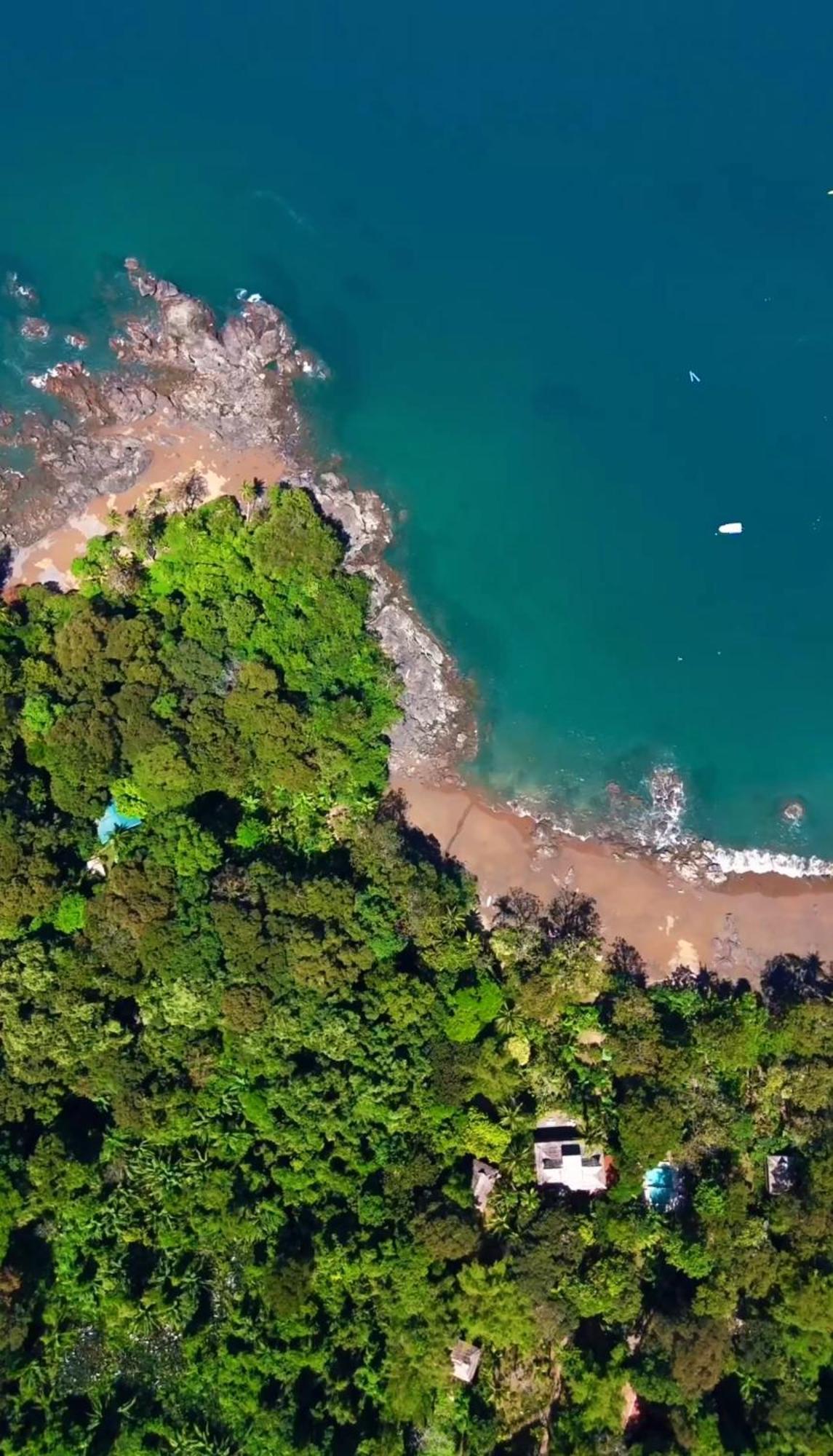 Copa De Arbol Beach & Rainforest Resort Drakes Bay 외부 사진