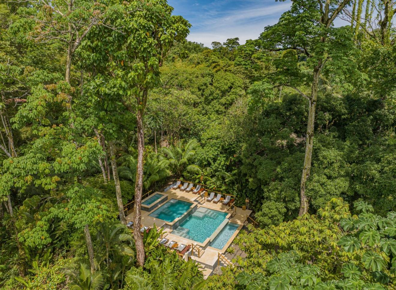 Copa De Arbol Beach & Rainforest Resort Drakes Bay 외부 사진